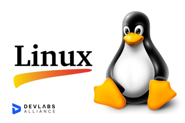 certified-linux-fundamentals-training
